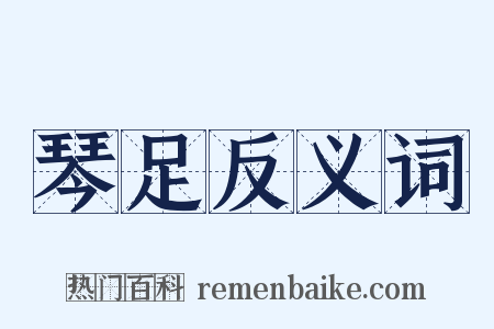 琴足反义词是什么意思的图片